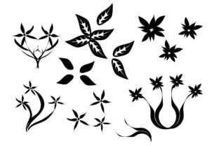 Elevating Digital and Print Design with Floral Black Ornament Vector Art