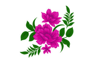 Embracing Elegance: The Rise of Vintage Pink Floral Flower Illustrations in Modern Design
