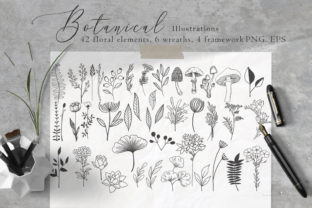 Floral Botanical Illustrations: A Strategic Asset for Brand Identity and Design Versatility